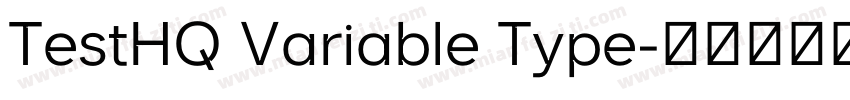 TestHQ Variable Type字体转换